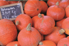 courge