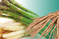 asperges