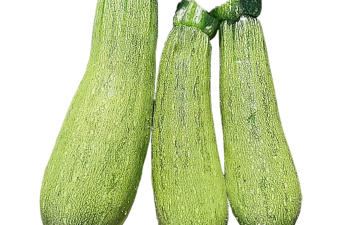 nurizelli_courgettes_voltz