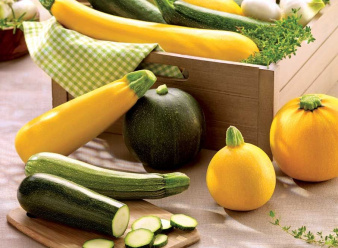 courgettes_voltz_maraichage