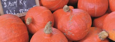 courge
