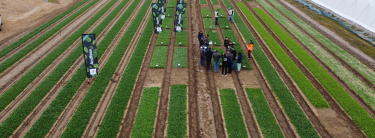 plateforme jeune pousse