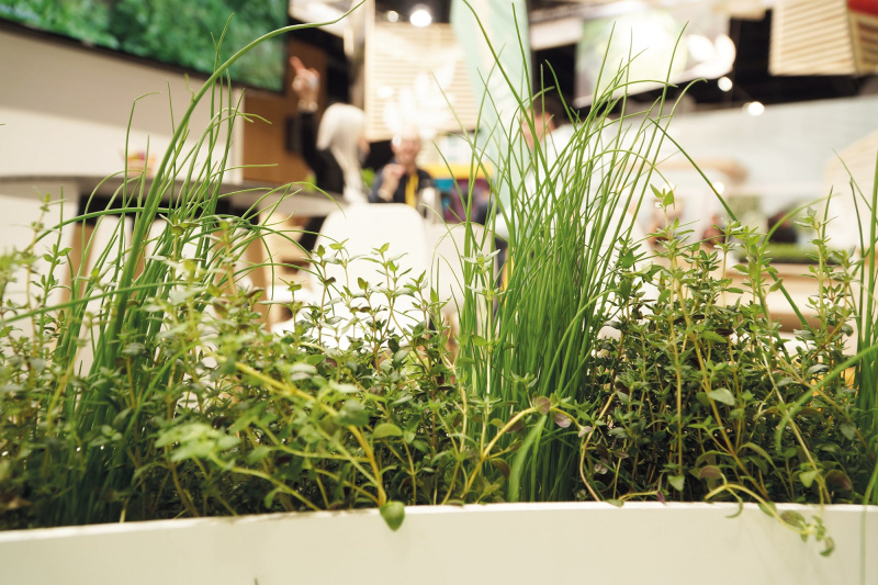 stand_voltz_maraichage